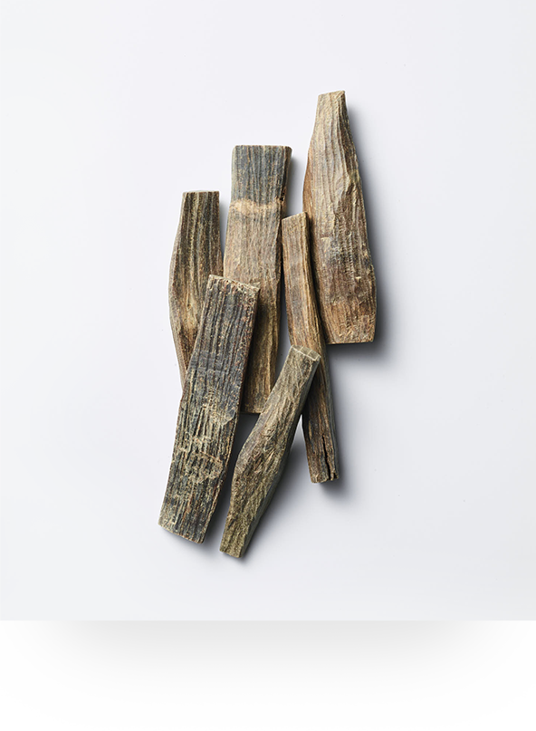 Agarwood