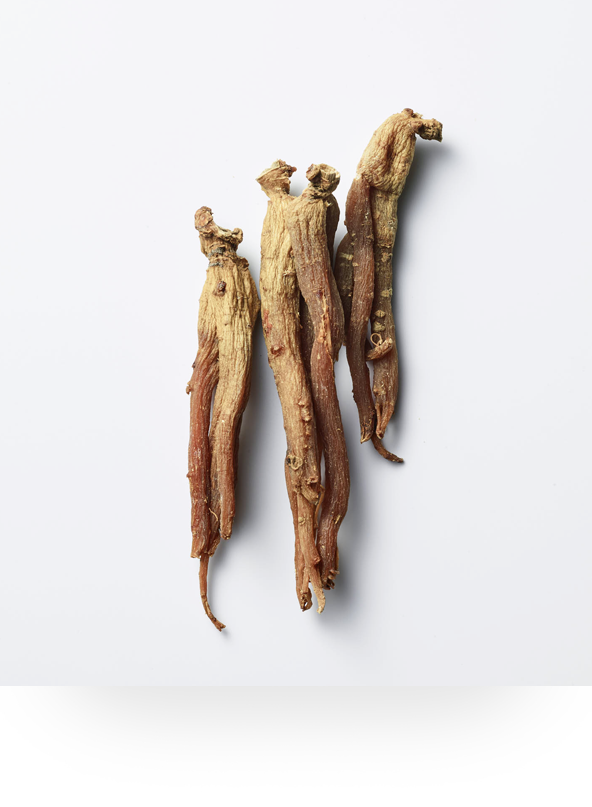 Red Ginseng